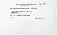 Image Associated With the Occurence